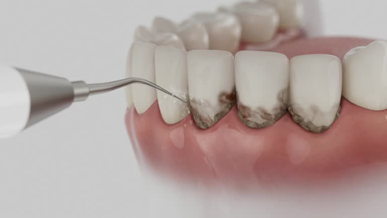 Reliable Dental contractor in Evansville, WY by Dentist Open Now